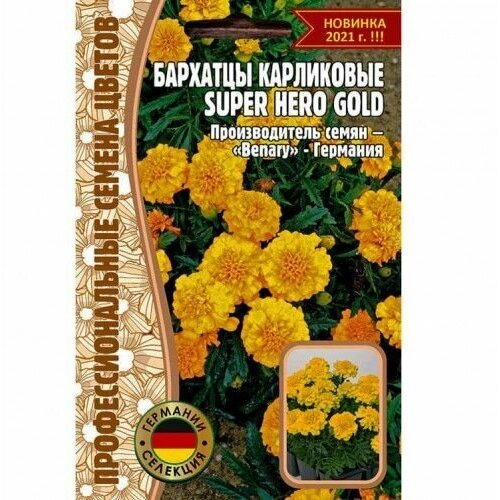  216  Super Hero Gold  10 (  )