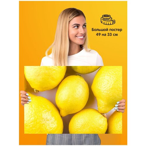  339  Lemons 