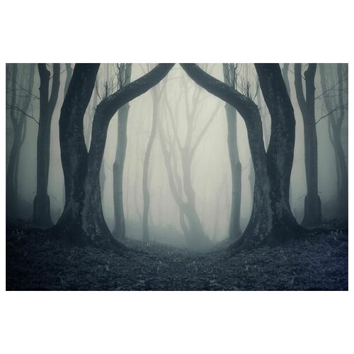        (Fog in the forest) 2 45. x 30.,  1340 