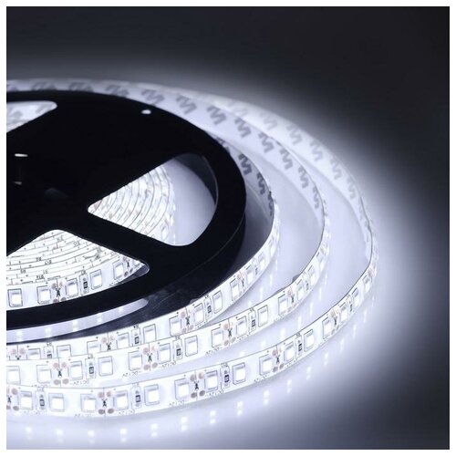  1337 C  Apeyron Electrics 5 , IP65, SMD2835, 120 LED/, 9.6 /, 12 , 6500