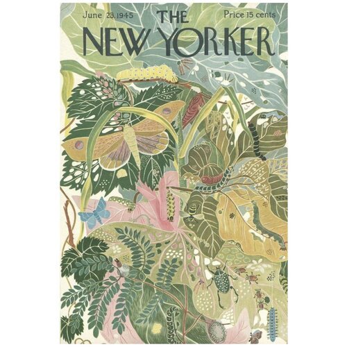  1450  /  /   New Yorker -   6090    