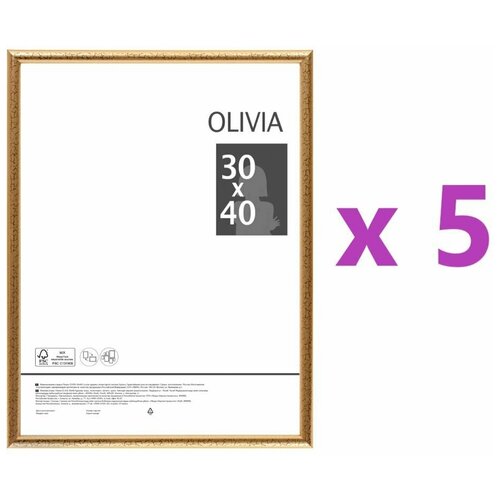  2810  Olivia, 30x40 , ,  , 5 