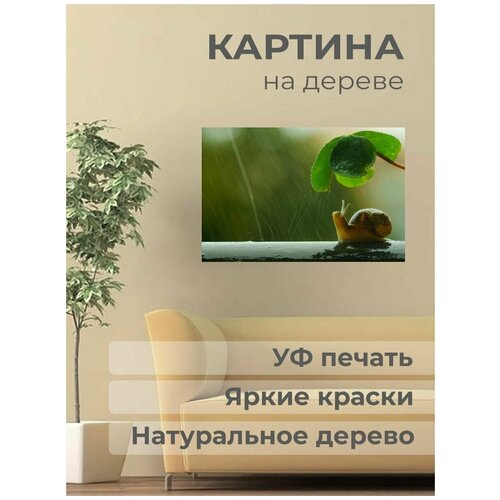 ������ 1001� ����������� ������� �� ������ 