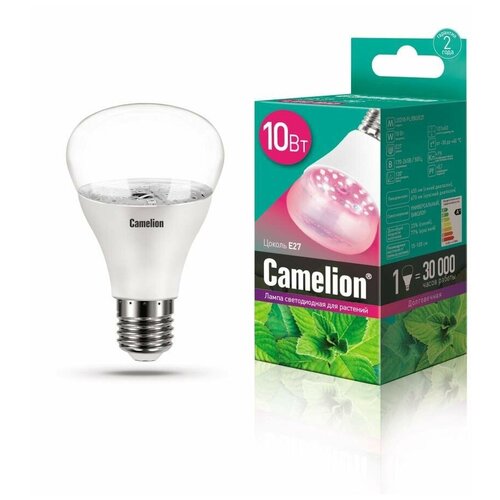  766     Camelion LED10-PL/