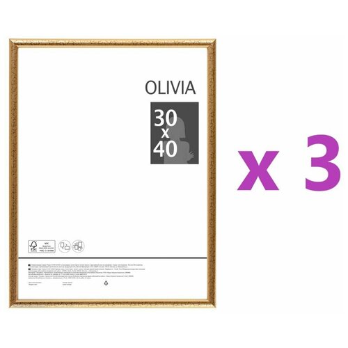  1735  Olivia, 30x40 , ,  , 3 