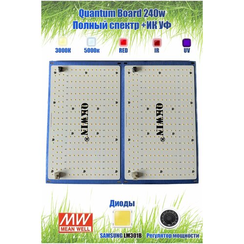  14888   / Quantum board/  / 240 / Samsung LM301b/  /   / 450-650