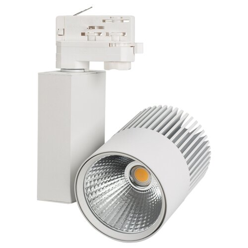  4838  LGD-ARES-4TR-R100-40W Warm3000 (WH, 24 deg) (Arlight, IP20 , 3 )