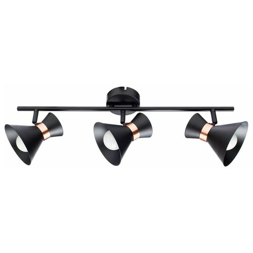  3383  Arte Lamp BALTIMORE A1406PL-3BK