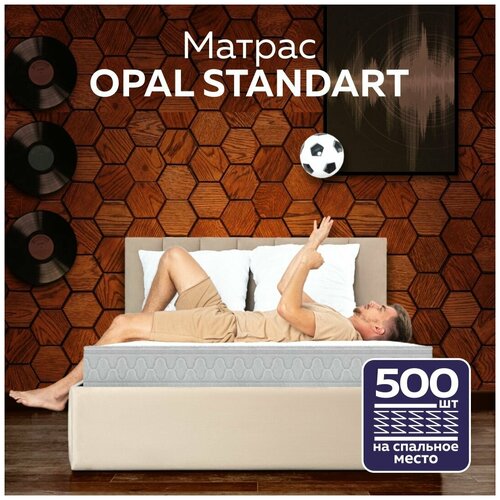  6405   OPAL STANDART 90200