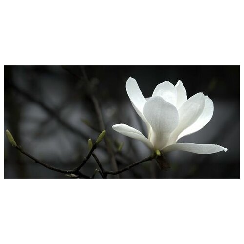  1710      (White flower) 2 63. x 30.