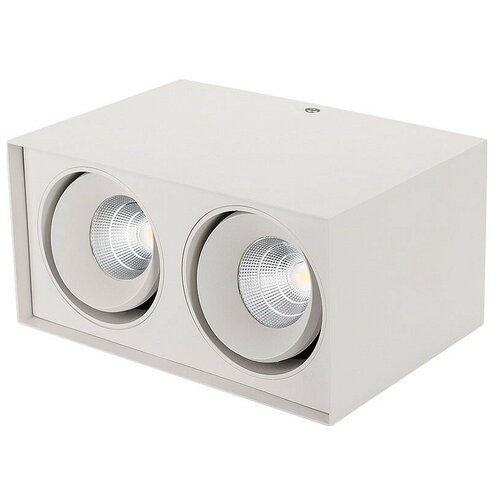  7516 Arlight  SP-CUBUS-S100x200-2x11W Warm3000 (WH, 40 deg, 230V) (2)