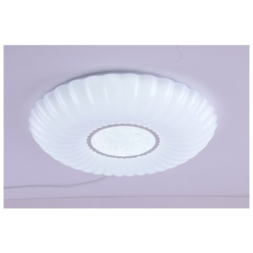  4451 Camelion LBS-1205 (. LED -, 68 , 3000-6000K, 4800)