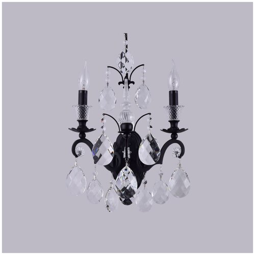  25600  Crystal Lux Magnifico AP2 Black/Transparent