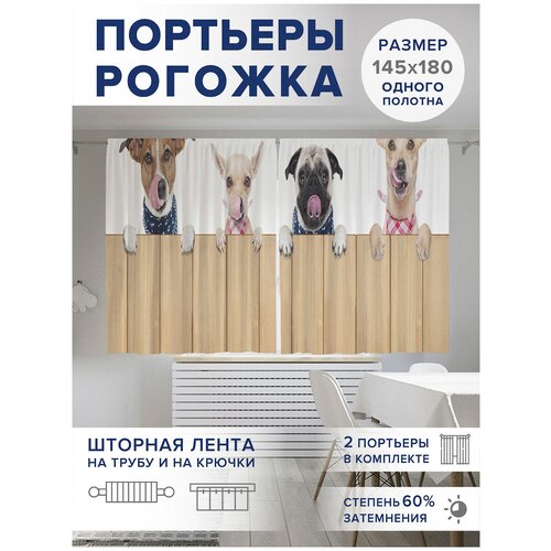 ������ 2499� ��������� ��� ����� � ������� JoyArty Oxford DeLuxe 