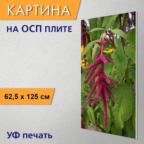 ������ 2970� ������������ ������� 