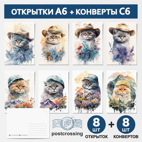  459    :  6 - 8 , - 6 - 8 , postcrossing /  - 6 / postcard_8_postcrossing_cat_A6_set_6