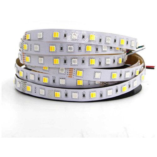  3800   SMD 5050, RGB+CCT, 5 , 24, IP33 -  :RGB+CCT