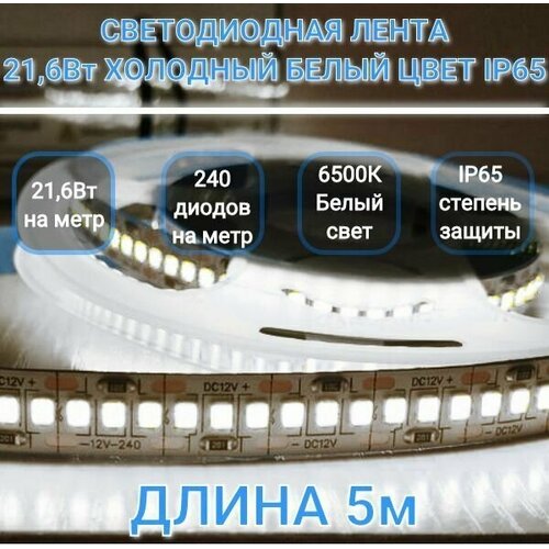  1479 LED   12V, 21,6, SMD 2835-240   1., 6500K  ,  IP65,  5