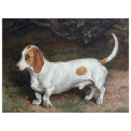  1810     (Dog) 4 54. x 40.