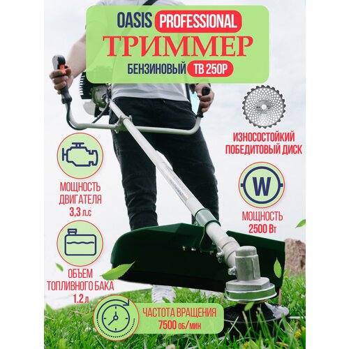  5889   OASIS Professional  250 52 ?/2500