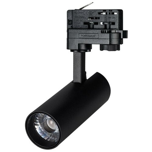  3015  LGD-GERA-4TR-R55-10W Day (BK, 24 deg) (arlight, IP20 , 3 )