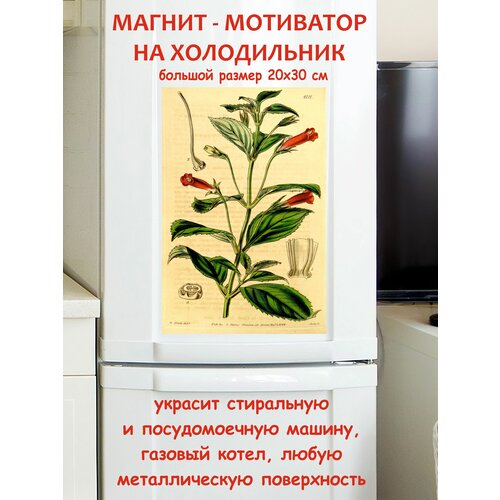 ������ 790� �������� ������ ������ �� ����������� 20 �� 30 ��