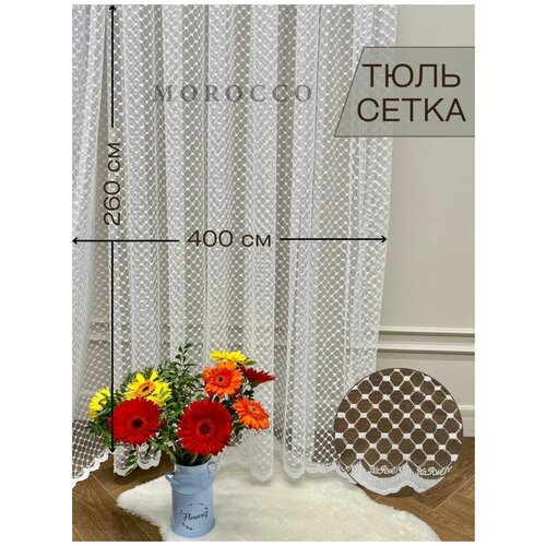 ������ 2756� ���������� ���� ���������� � �������� � �������� 400x260 ��.