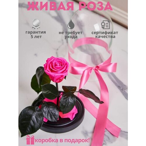 ������ 3700� ������ ����� ���� � ����� �����������������