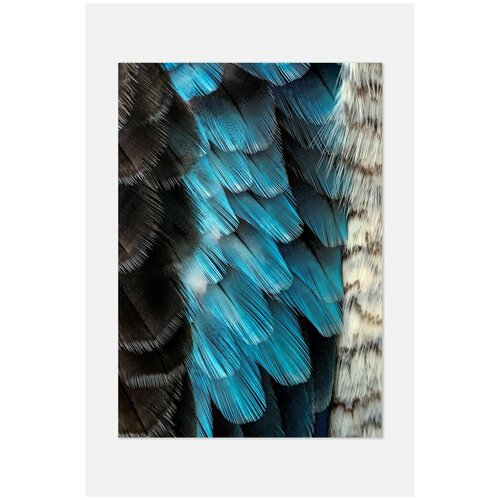 ������ 1169� ������ ��� ��������� Postermarkt, 40�50 �� � ������, ������ �������� #34