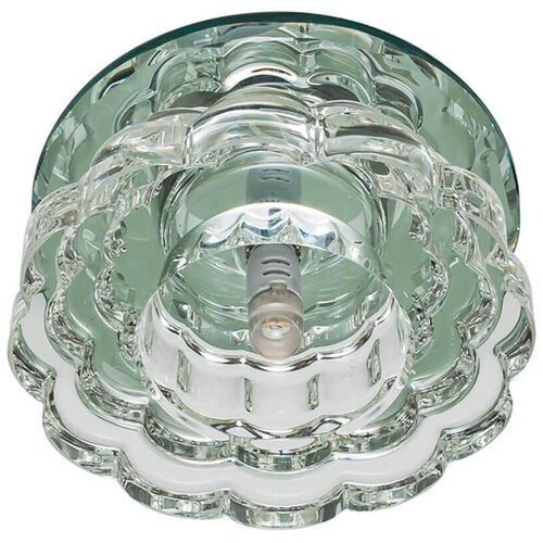  579 - DLS-F125 G4 GLASSY/CLEAR Fiore Fametto