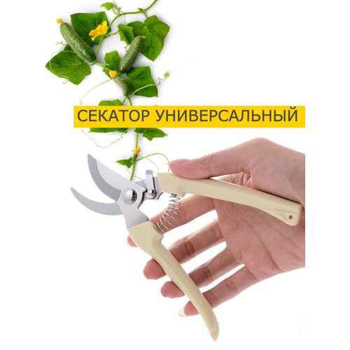 ������ 280� ������� ������� �������������/ ��������, ��� ��������, ��� ������