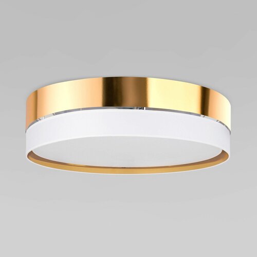  21300   TK Lighting 4773 Hilton Gold