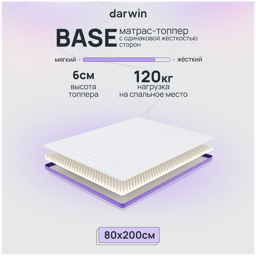  9500 -   Darwin Base 160  200 x 6 