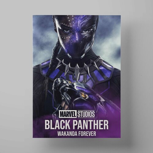  560   :  , Black Panther: Wakanda Forever, 3040 ,    