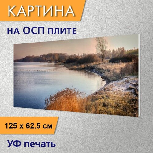 ������ 2950� �������������� ������� 