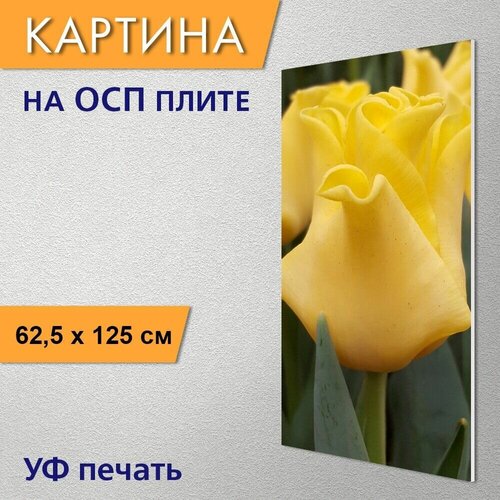 ������ 2970� ������������ ������� 