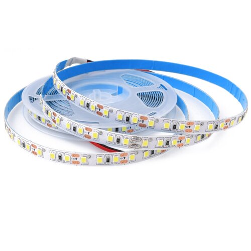  900   IP22 SMD 2835 (120 LED) 12V DC 48W DLED ()