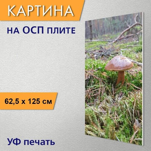 ������ 2990� ������������ ������� 