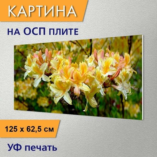 ������ 2950� �������������� ������� 