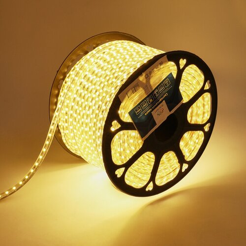  19261   LED 220, 13x8 , IP67, SMD 5050, 60 LED/m   100  Neon-Night