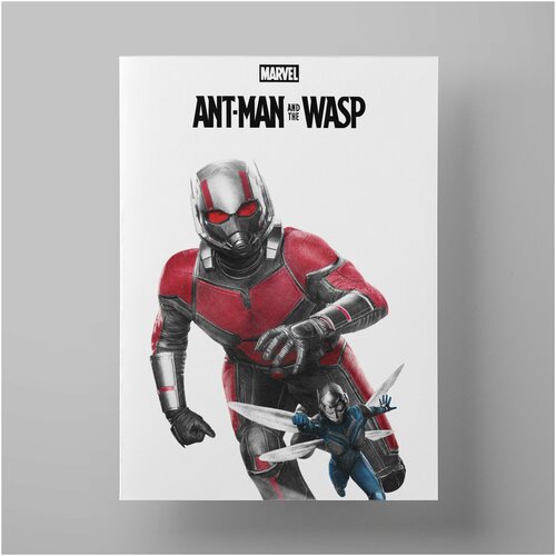  590  -  , Ant-Man and the Wasp, 3040 ,   - ,     Marvel