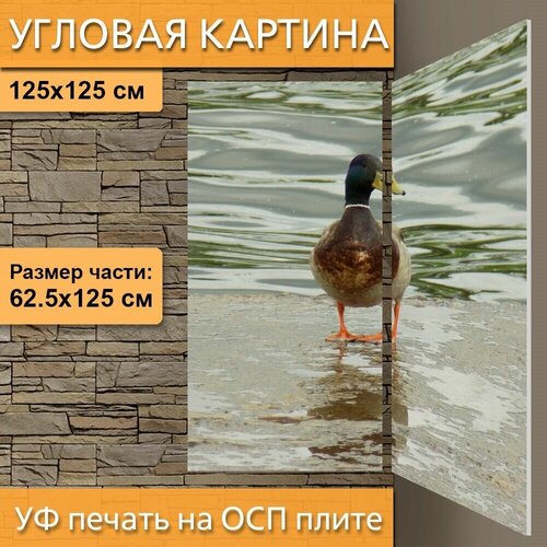������ 4990� ������� ��������� ������� 