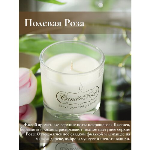  389       CandleKraft Wild Rose Aroma Mini 