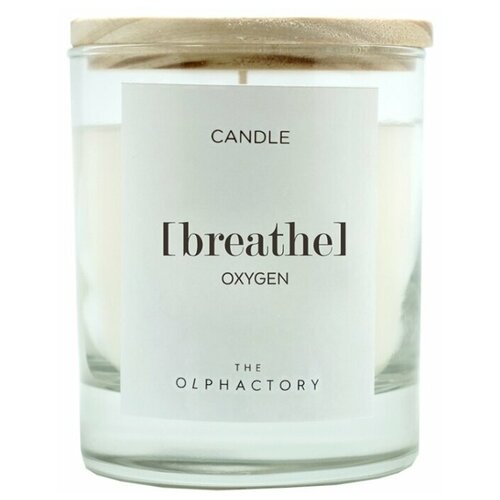 ������ 1760� ����� ������������� Ambientair The Olphactory Breathe �������� 40 � VV402OXTO_new