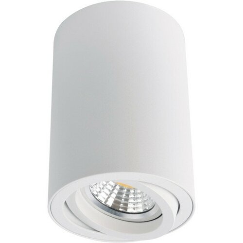  2990   ARTE LAMP Sentry 1x50 GU10  