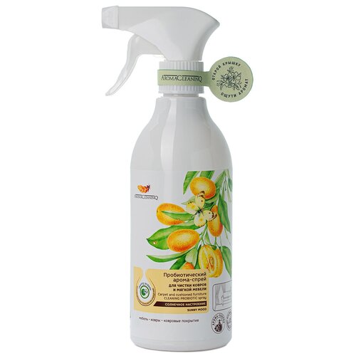  381     AromaCleaninQ 500  -         