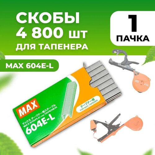 529    MAX 604 E-L 4800 /       