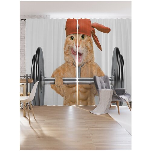 ������ 4749� ����� ��� �� JoyArty 