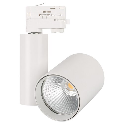  4885  LGD-SHOP-4TR-R100-40W Warm SP2900-Meat (WH, 24 deg) (arlight, IP20 , 3 )