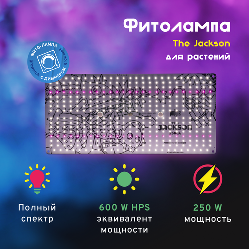  21900 LED  The Jackson 250W  